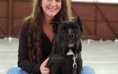 Episode 27: Sonic Booms & Service Dogs