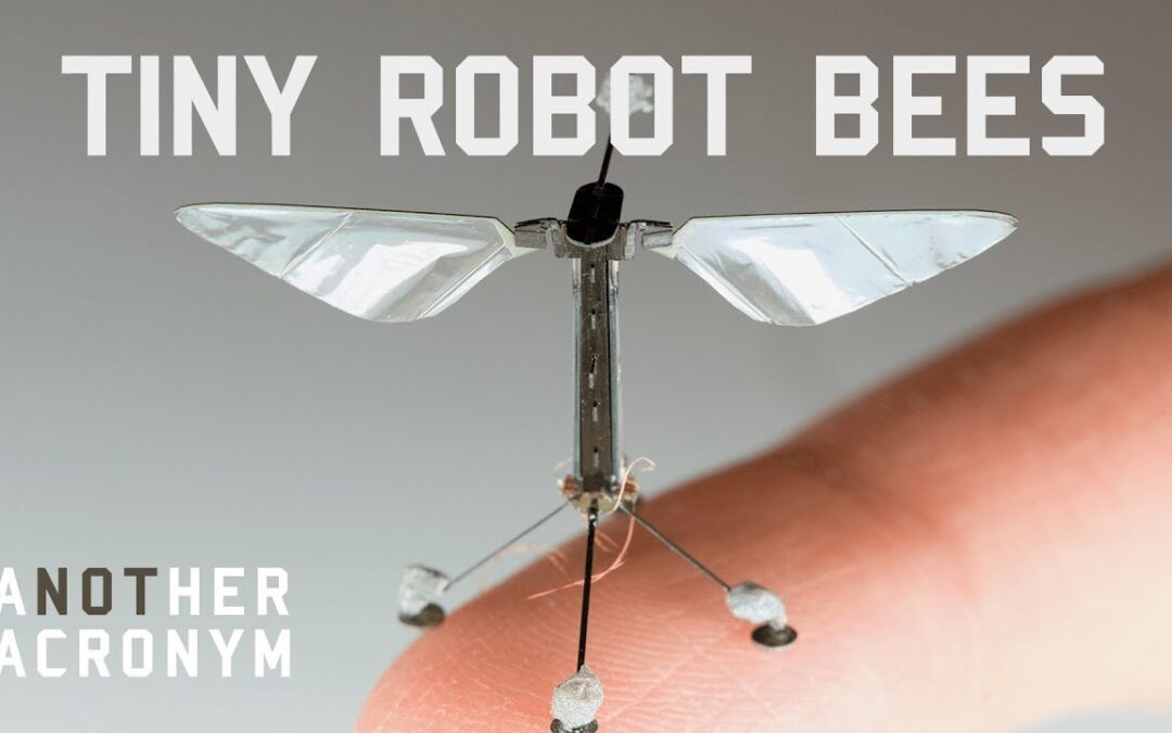 Not Another Acronym | Micro-Robots