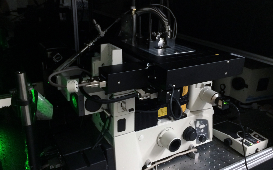 Episode 58: Autonomous Research Revolution