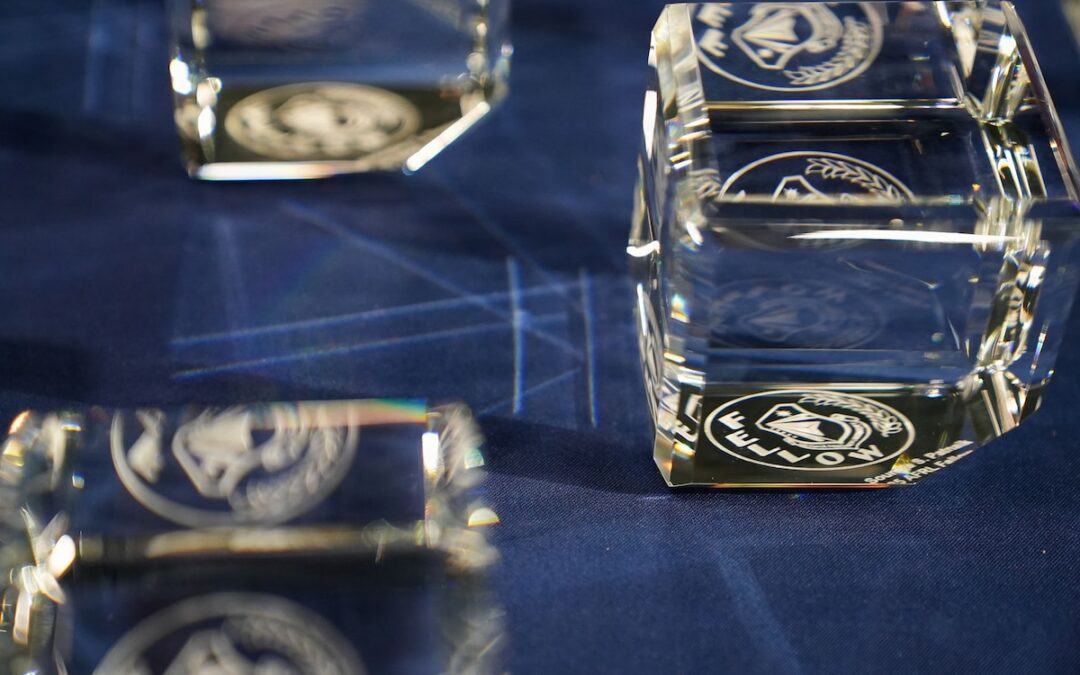 2025 AFRL FELLOWS AND EARLY CAREER AWARD WINNERS