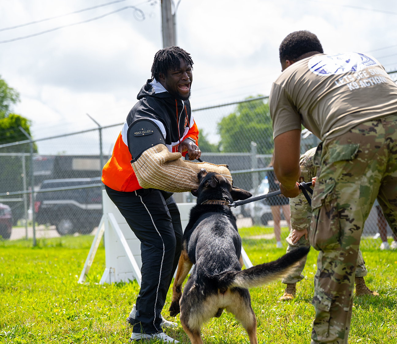 Bengal rookie working with training dog